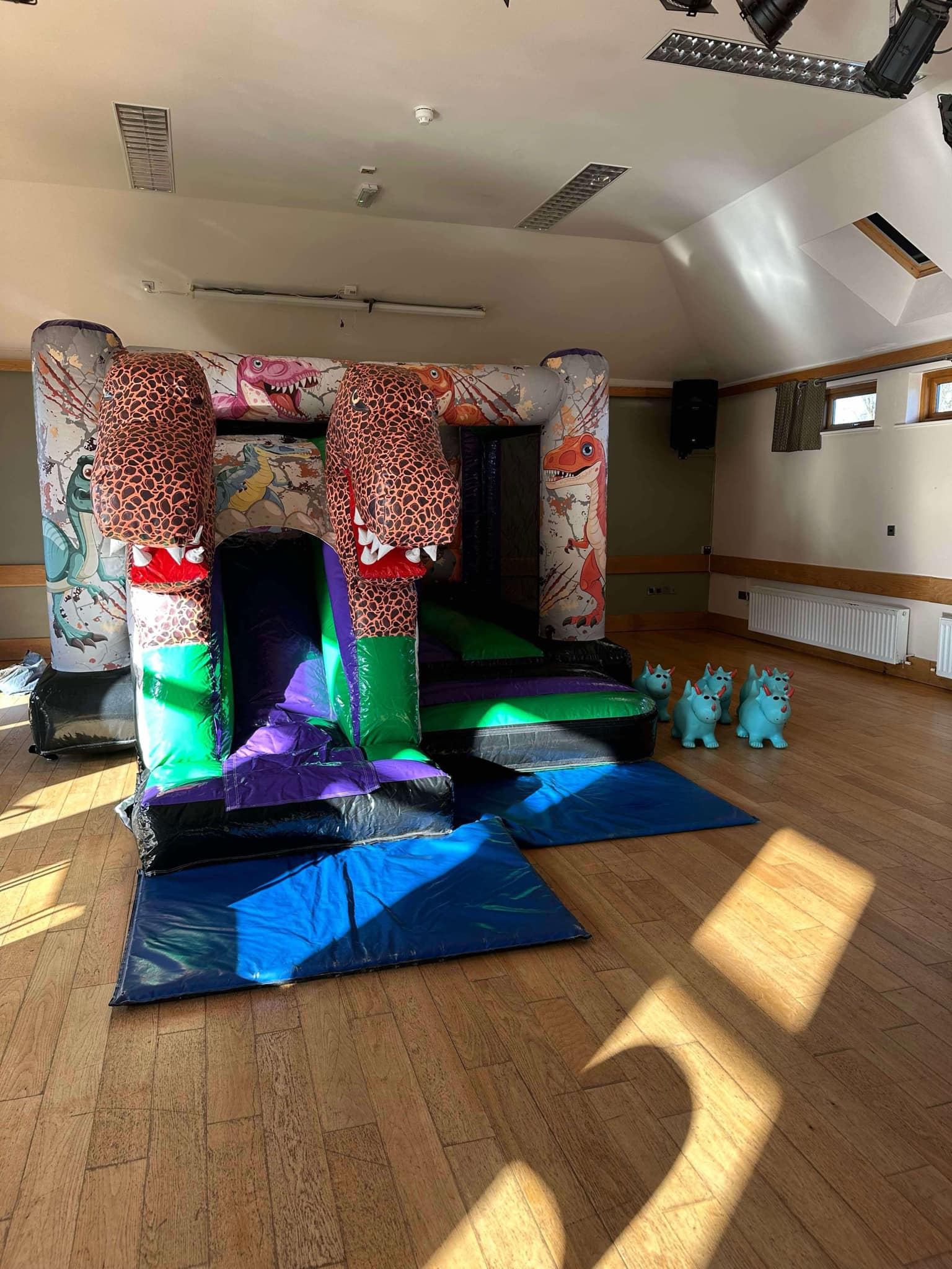 Indoor dinosaur activity combo on hire in Cuddington